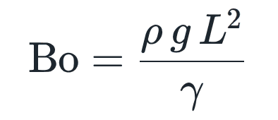 Bo = ρ g L² / γ