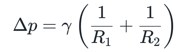 Δp = γ · (1/R₁ + 1/R₂)