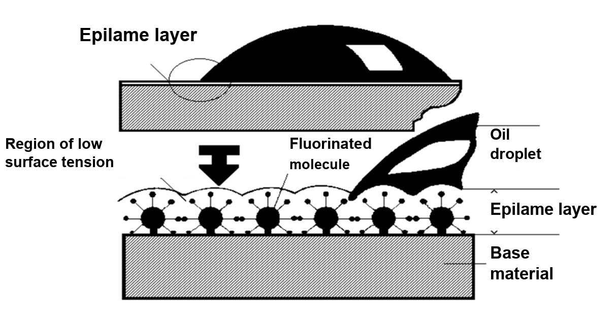 Model of an epilame layer on a base material with an oil drop above it