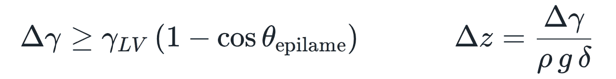 Δγ ≥ γ_LV · (1 − cos θ_epilame) and Δz = Δγ / (ρ g δ)